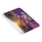 Magnet Flexible USA, Californie, Anza-Borrego Desert State Park. 2 (Côté Droit)