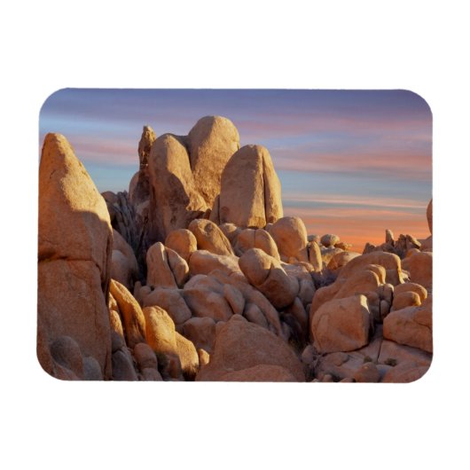 Magnet Flexible USA, Californie, Parc national de Joshua Tree (Horizontal)