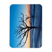 Magnet Flexible USA, Caroline du Sud, Edisto Island, Botany Bay (Vertical)