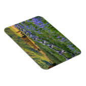 Magnet Flexible USA, Colorado. Lupines and split rail fence (Côté Droit)