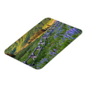 Magnet Flexible USA, Colorado. Lupines and split rail fence (Côté Gauche)