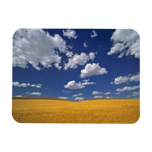 Magnet Flexible USA, Etat de Washington, Colfax. Réunion d'orge mû (Horizontal)