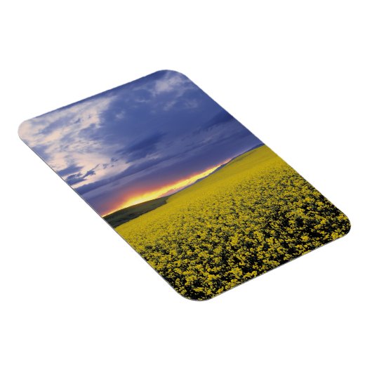 Magnet Flexible USA, Idaho, vallée du Swan. Un coucher de soleil e (Côté Droit)