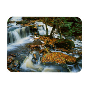Magnet Flexible USA, Pennsylvanie, Ricketts Glen State Park