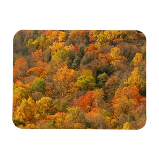 Magnet Flexible USA, Tennessee. Volage d'automne 2 (Horizontal)