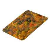 Magnet Flexible USA, Tennessee. Volage d'automne 2 (Côté Gauche)