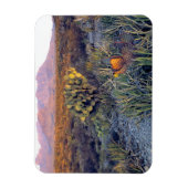 Magnet Flexible USA, Texas, Big Bend NP. Un crépuscule rose sable (Vertical)