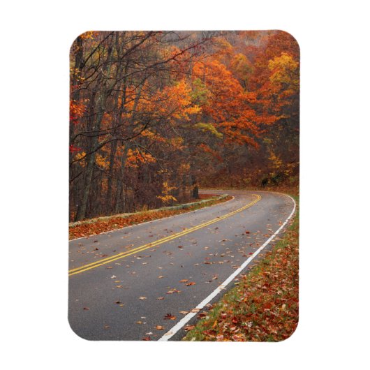 Magnet Flexible USA, Virginie, Shenandoah National Park, Skyline (Vertical)