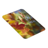 Magnet Flexible USA, Washington, Bellingham, Gros plan de l'automn (Côté Droit)