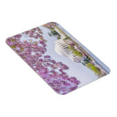 Magnet Flexible USA, Washington DC, Cherry tree in floraison (Côté Droit)