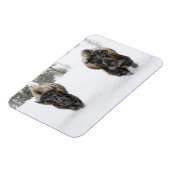 Magnet Flexible USA, WY, Yellowstone NP, Bison américain (Côté Gauche)