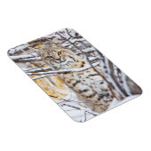 Magnet Flexible USA, Wyoming, Bobcat (Côté Droit)
