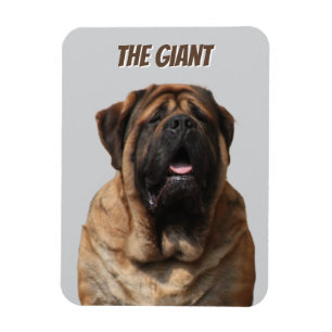 Magnet Flexible Vacances Mastiff Mastiff Anglais