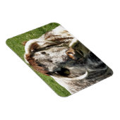 MAGNET FLEXIBLE VACHE (Côté Droit)