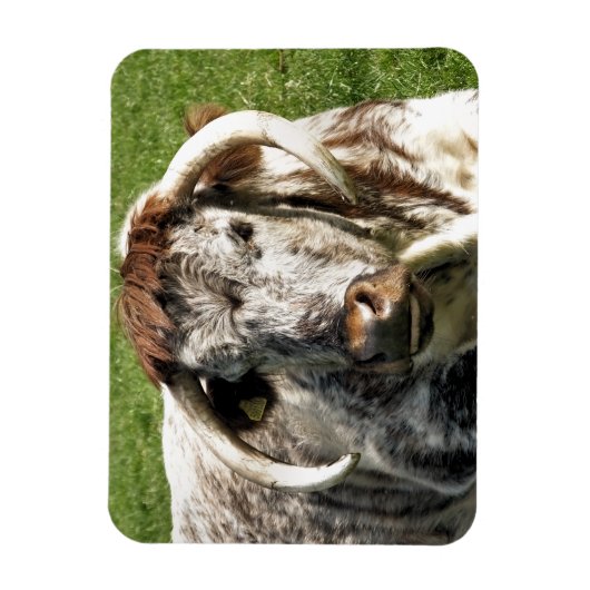 MAGNET FLEXIBLE VACHE (Vertical)