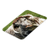 MAGNET FLEXIBLE VACHE (Côté Gauche)