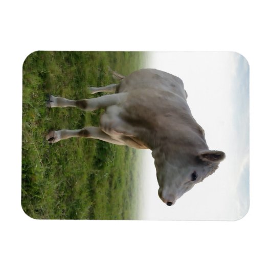 MAGNET FLEXIBLE VACHE (Horizontal)