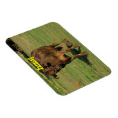 Magnet Flexible Vache dans un pâturage vert (Côté Droit)