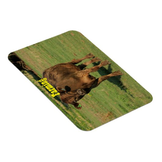 Magnet Flexible Vache dans un pâturage vert (Côté Droit)