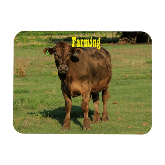 Magnet Flexible Vache dans un pâturage vert (Horizontal)