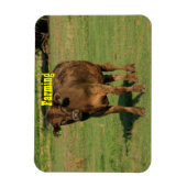 Magnet Flexible Vache dans un pâturage vert (Vertical)