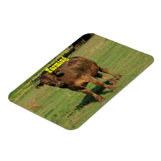 Magnet Flexible Vache dans un pâturage vert (Côté Gauche)