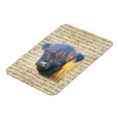 Magnet Flexible Vache de Highland (Côté Gauche)