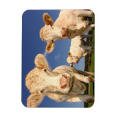 Magnet Flexible Vaches (Vertical)