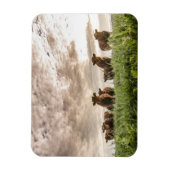 Magnet Flexible Vaches (Vertical)