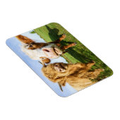 Magnet Flexible Vaches amusantes des Highlands (Côté Droit)