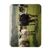 Magnet Flexible Vaches dans un champ (Vertical)