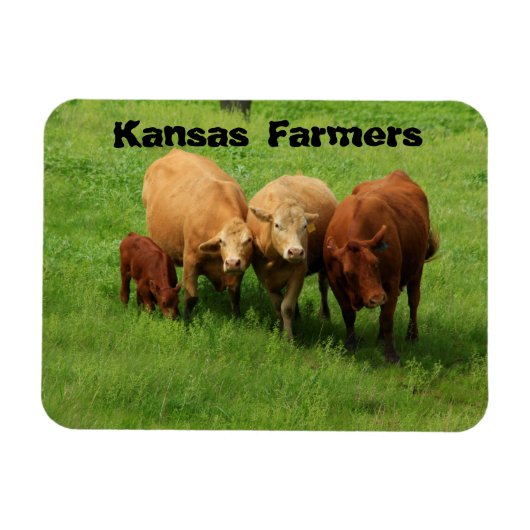 Magnet Flexible Vaches fermières du Kansas (Horizontal)