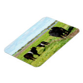 Magnet Flexible Vaches Galloway Pour La Mère Et Le Bébé, Aimant Fl (Côté Gauche)