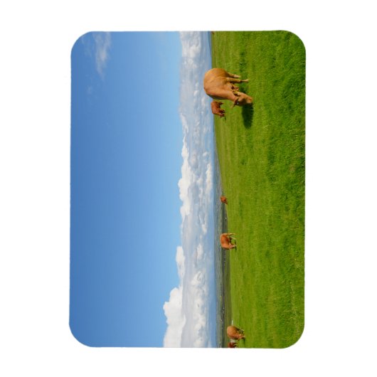 Magnet Flexible Vaches pâturant dans une prairie, aimant rectangle (Vertical)