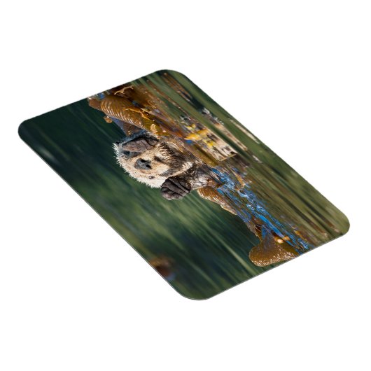 Magnet Flexible Vague Louter de mer (Côté Droit)