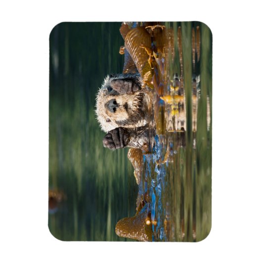 Magnet Flexible Vague Louter de mer (Vertical)