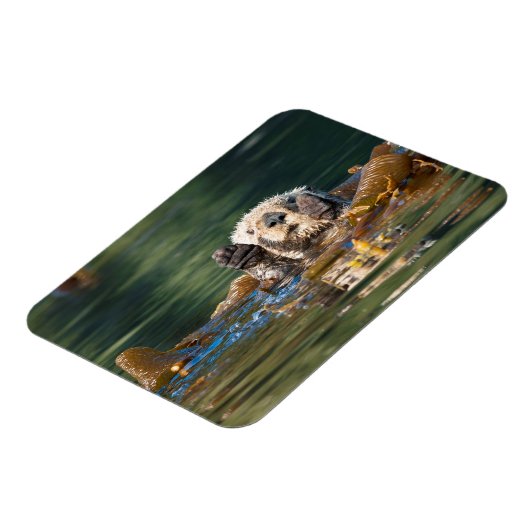 Magnet Flexible Vague Louter de mer (Côté Gauche)