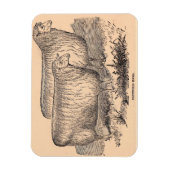 Magnet Flexible Vagues Cotswold du XIXe siècle (Vertical)