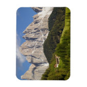 Magnet Flexible Val di Funes, Villnosstal, Dolomites, Italie (Vertical)