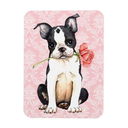 Magnet Flexible Valentine Rose Boston Terrier (Vertical)