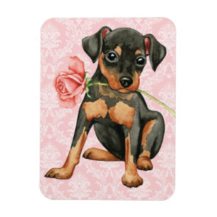 Magnet Flexible Valentine Rose Min Pin