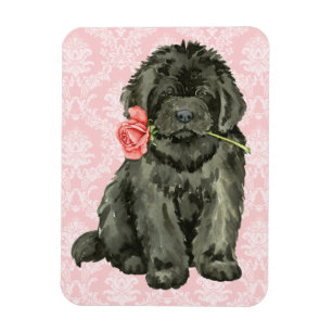 Magnet Flexible Valentine Rose Terre-Neuve