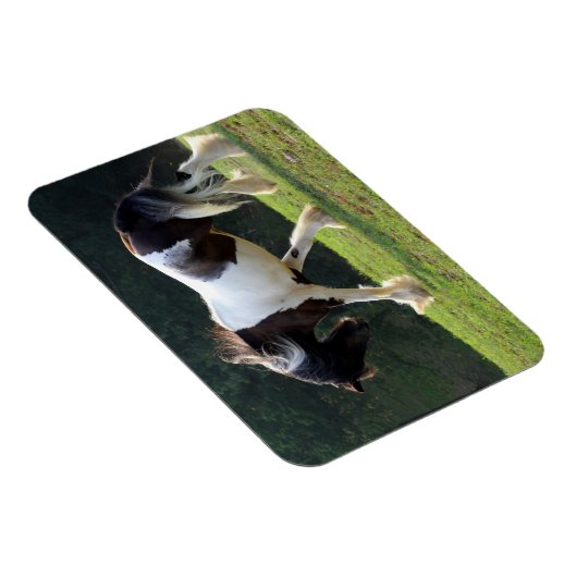 Magnet Flexible Vanner Tsigane (Côté Droit)