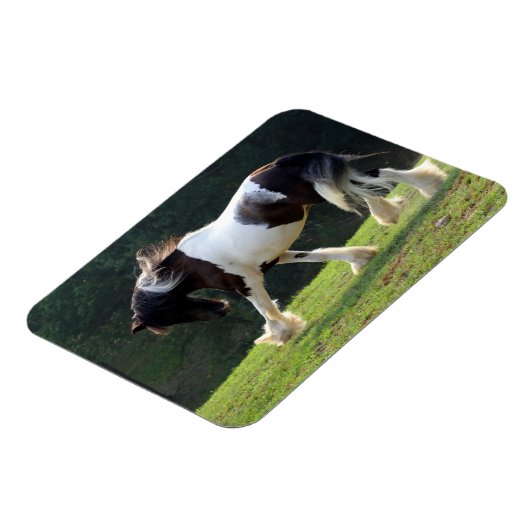 Magnet Flexible Vanner Tsigane (Côté Gauche)