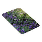 Magnet Flexible Variété de Lavande (Côté Droit)