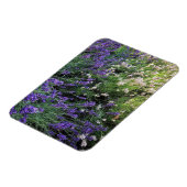 Magnet Flexible Variété de Lavande (Côté Gauche)