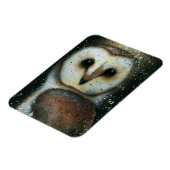Magnet Flexible Vaughn Belak Owl aimant (Côté Gauche)