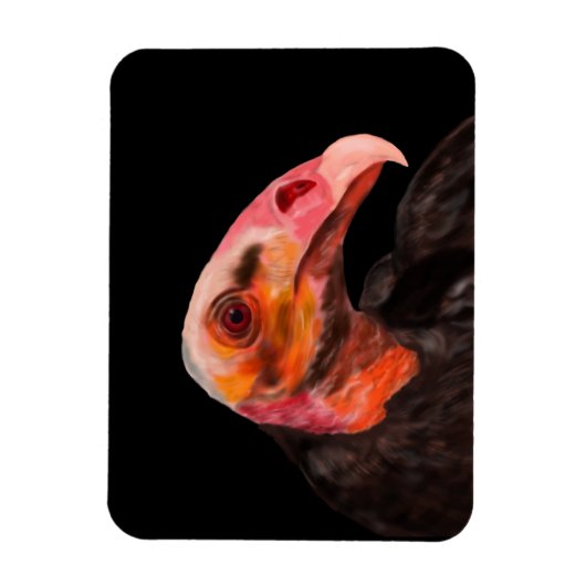 Magnet Flexible Vautour de Savannah (Vertical)