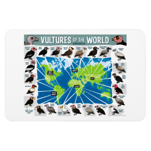 Magnet Flexible Vautours de la carte du monde