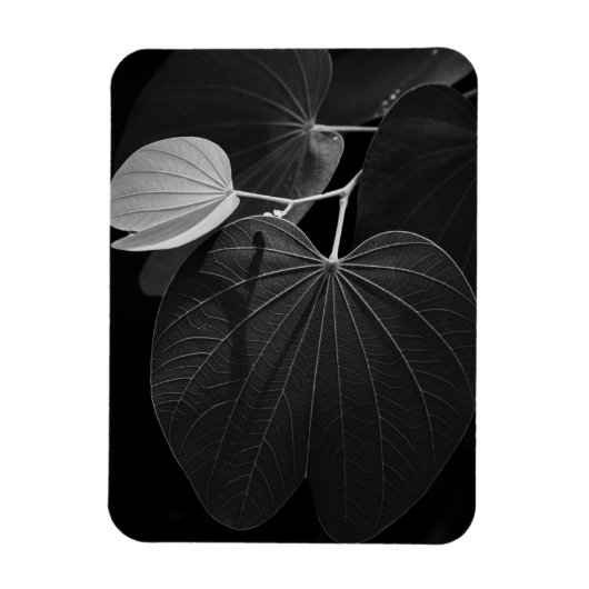 Magnet Flexible Veines d'une feuille (Vertical)
